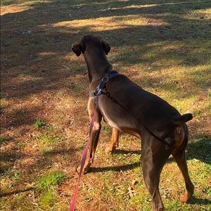 Meet your Posher, Garrick